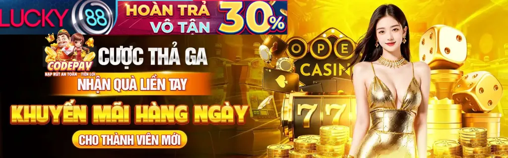 Hình ảnh thẻ VIP và các đặc quyền dành cho thành viên VIP win911